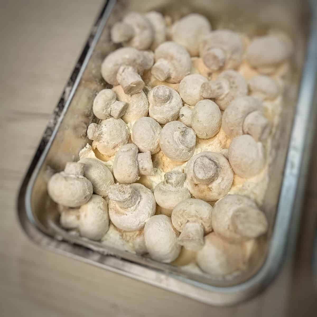 mushroom rolled in flour mixture
