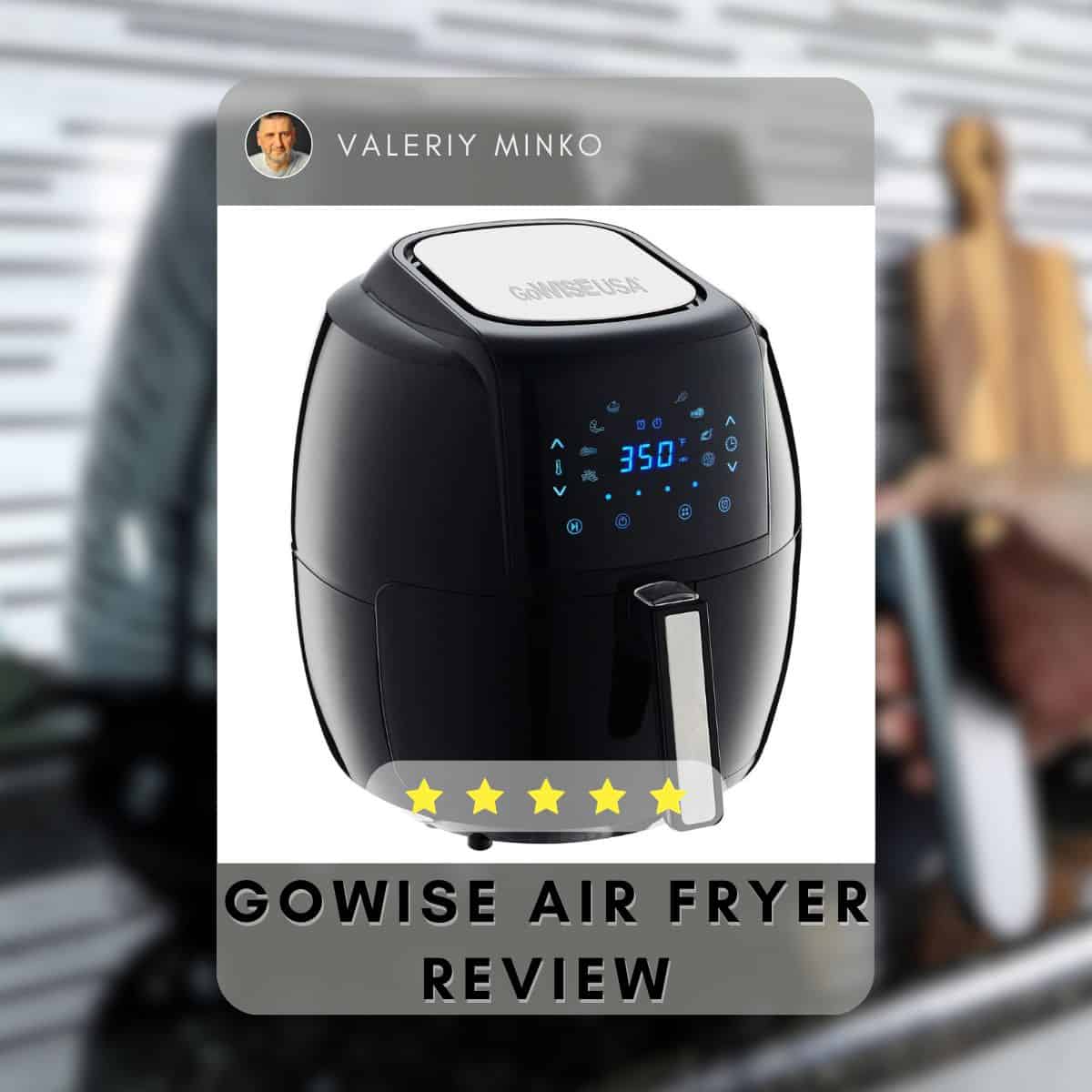 gowise air fryer review