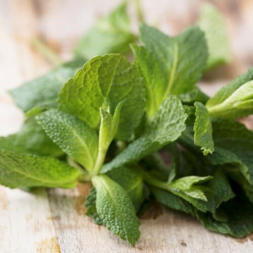 fresh mint on a table