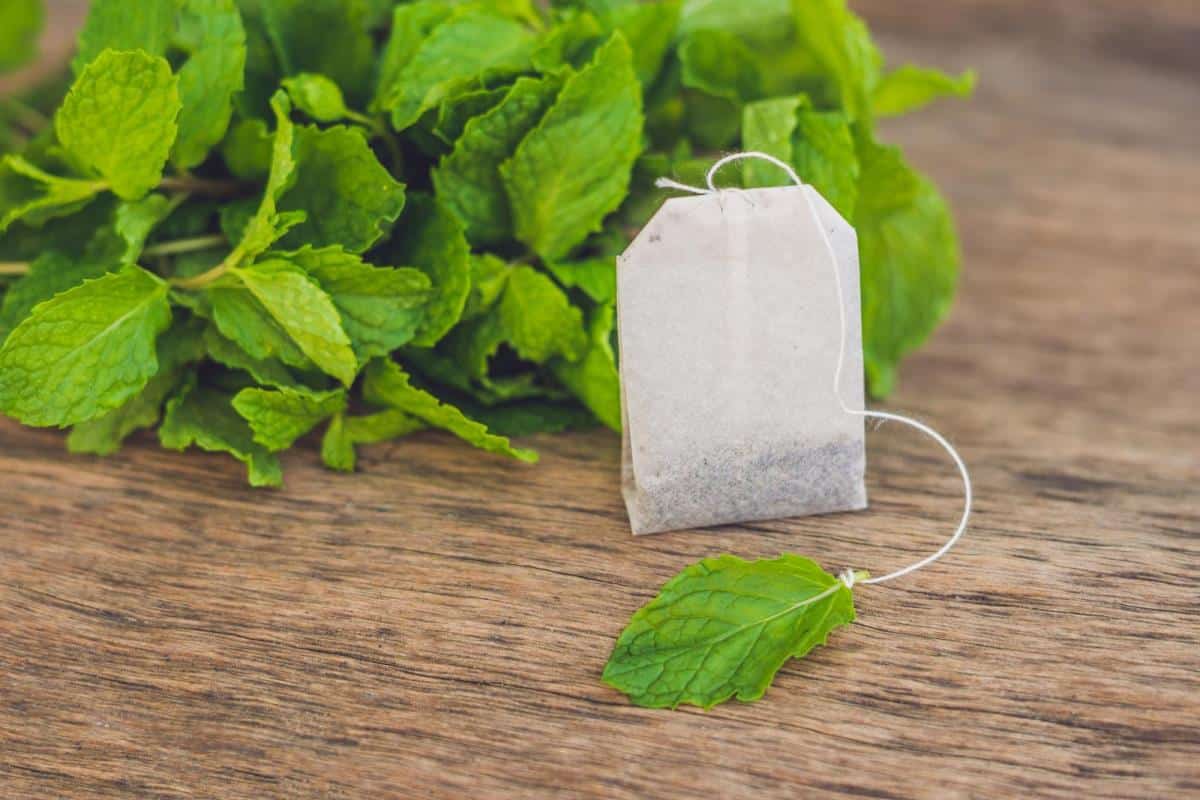 tea bags on wooden background with fresh melissa, mint