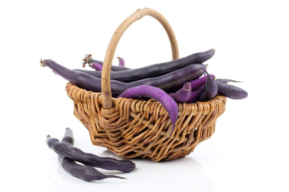 purple hull peas
