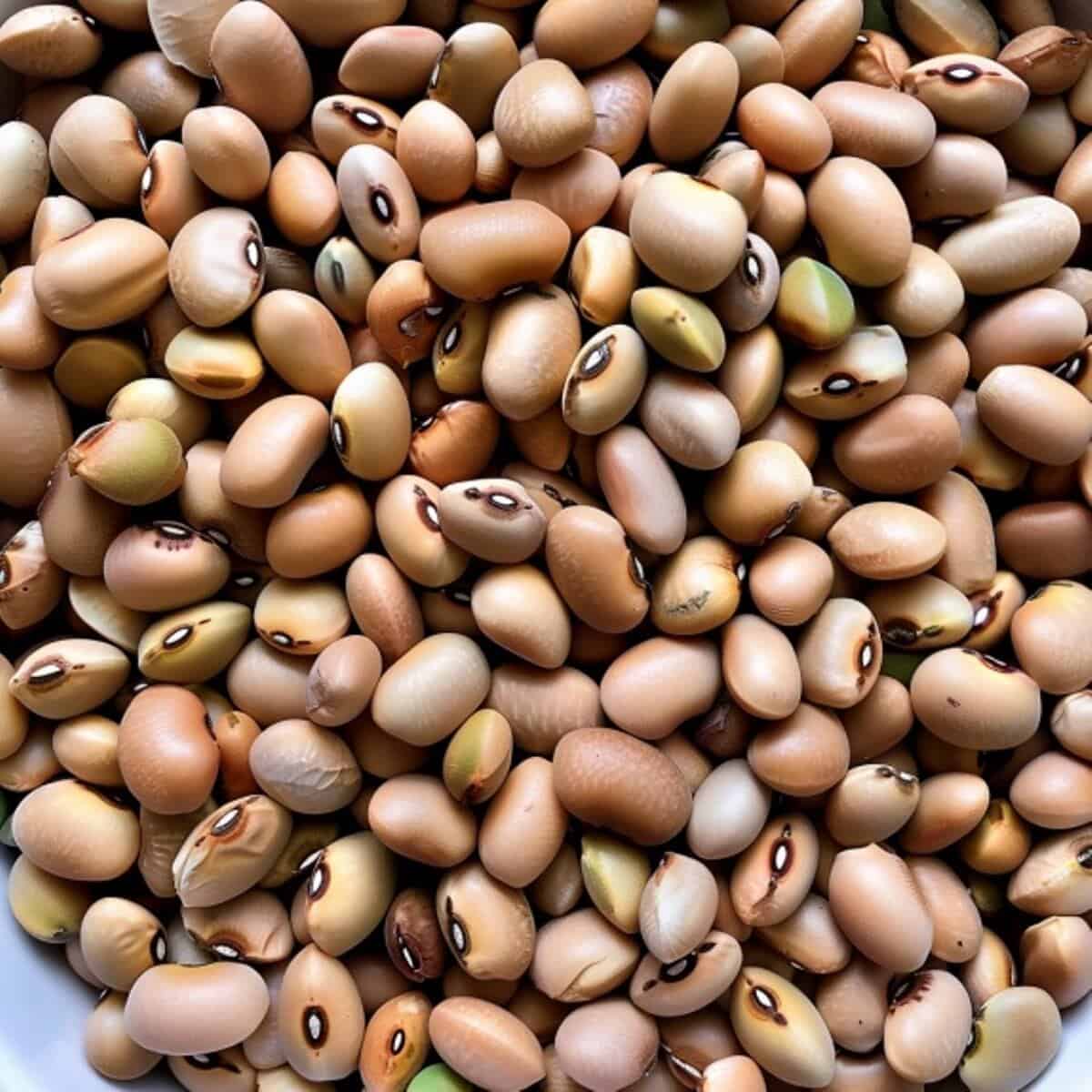 Crowder Peas