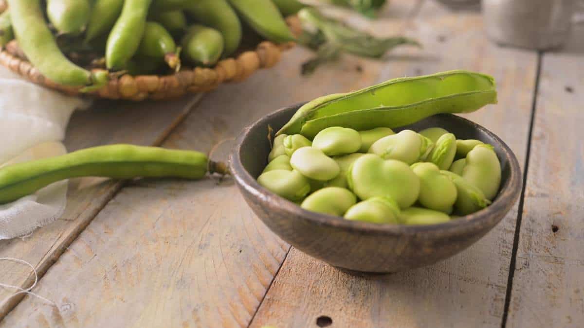 fresh and raw green broad beans