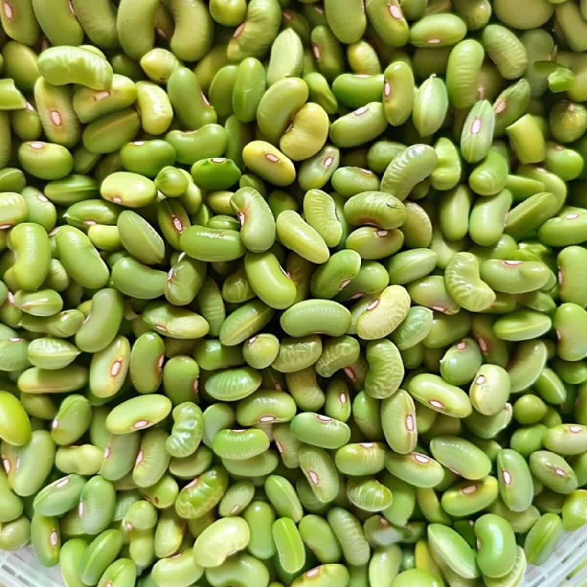 white acre peas