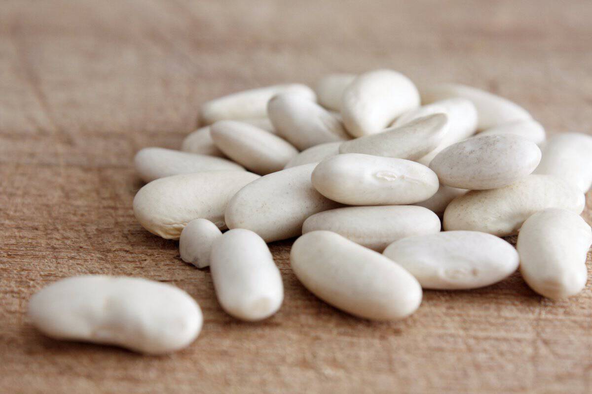 cannellini beans