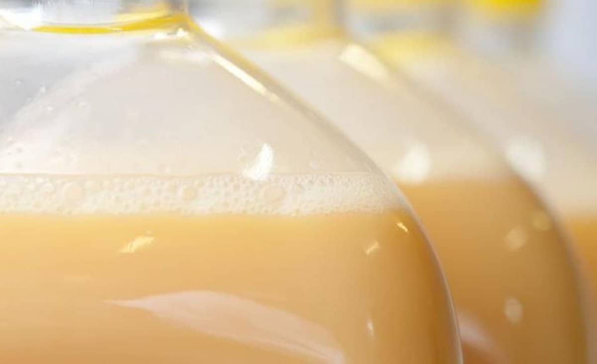 pasteurized egg whites