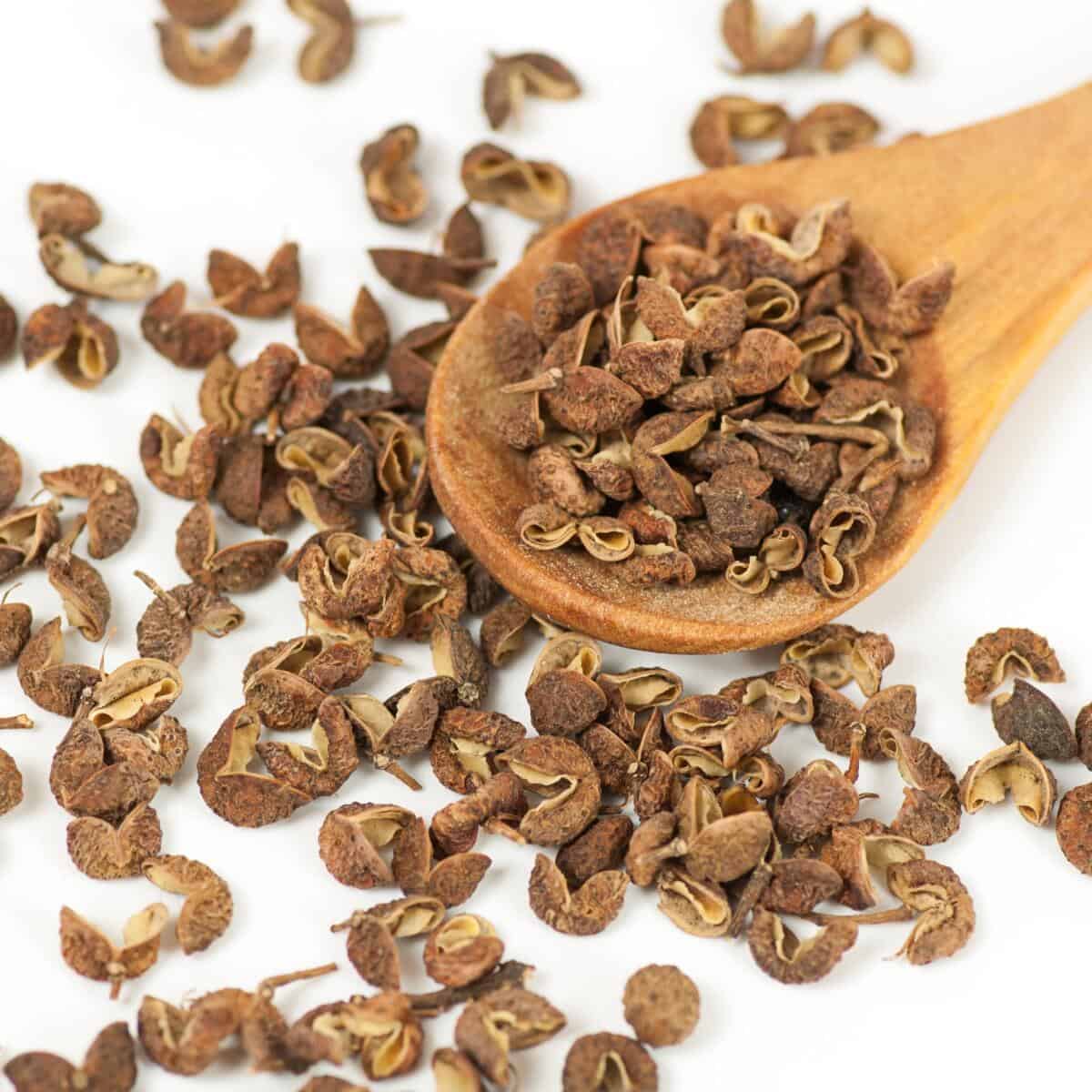 sichuan peppercorns