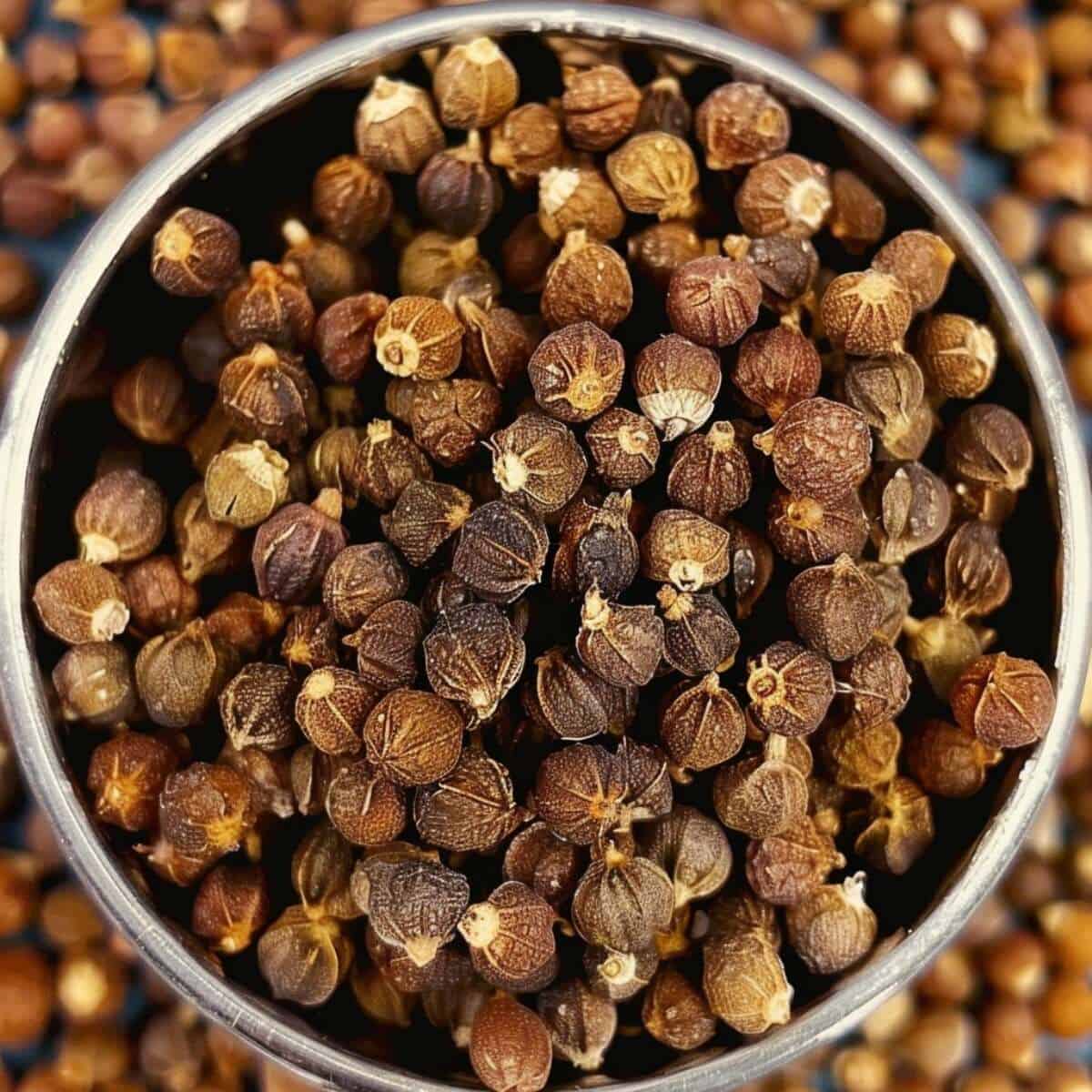 grains of paradise