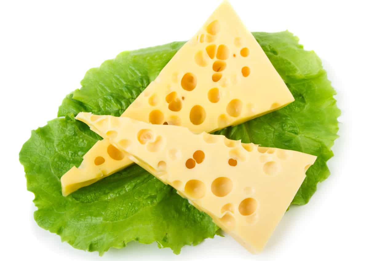 cheese with green lettuce salad leaves