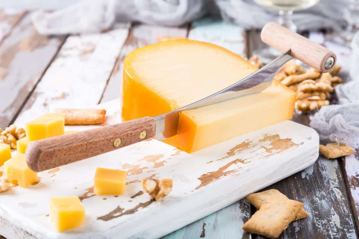 delicious dutch gouda cheese with cheese blocks, crackers, walnuts and special knife