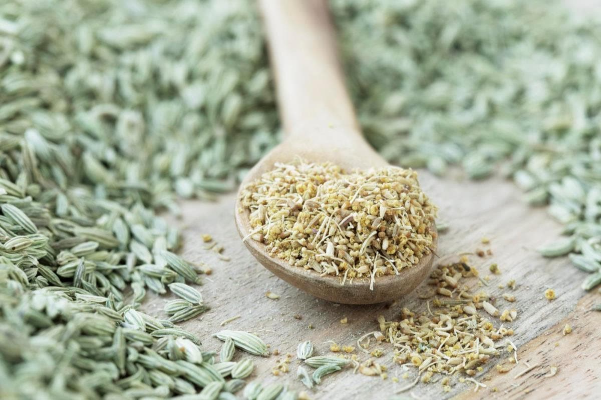 fennel