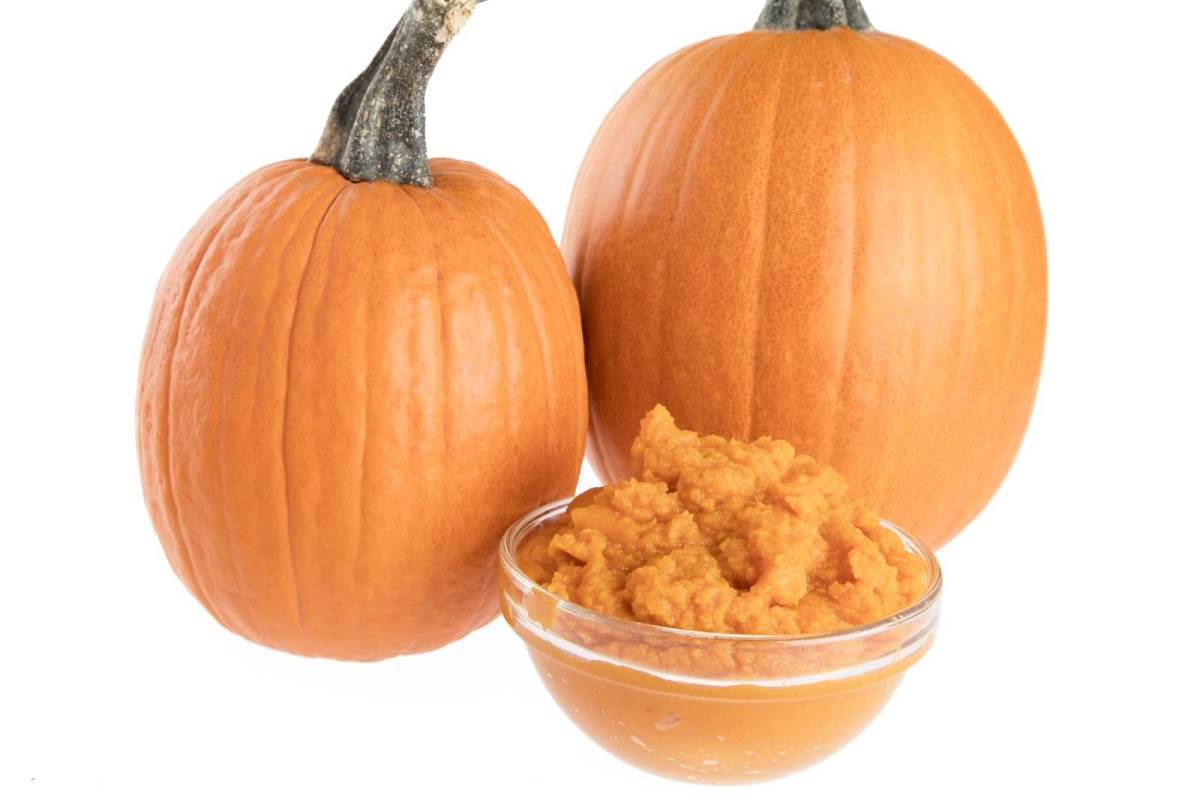 pumpkins and pumpkin puree
