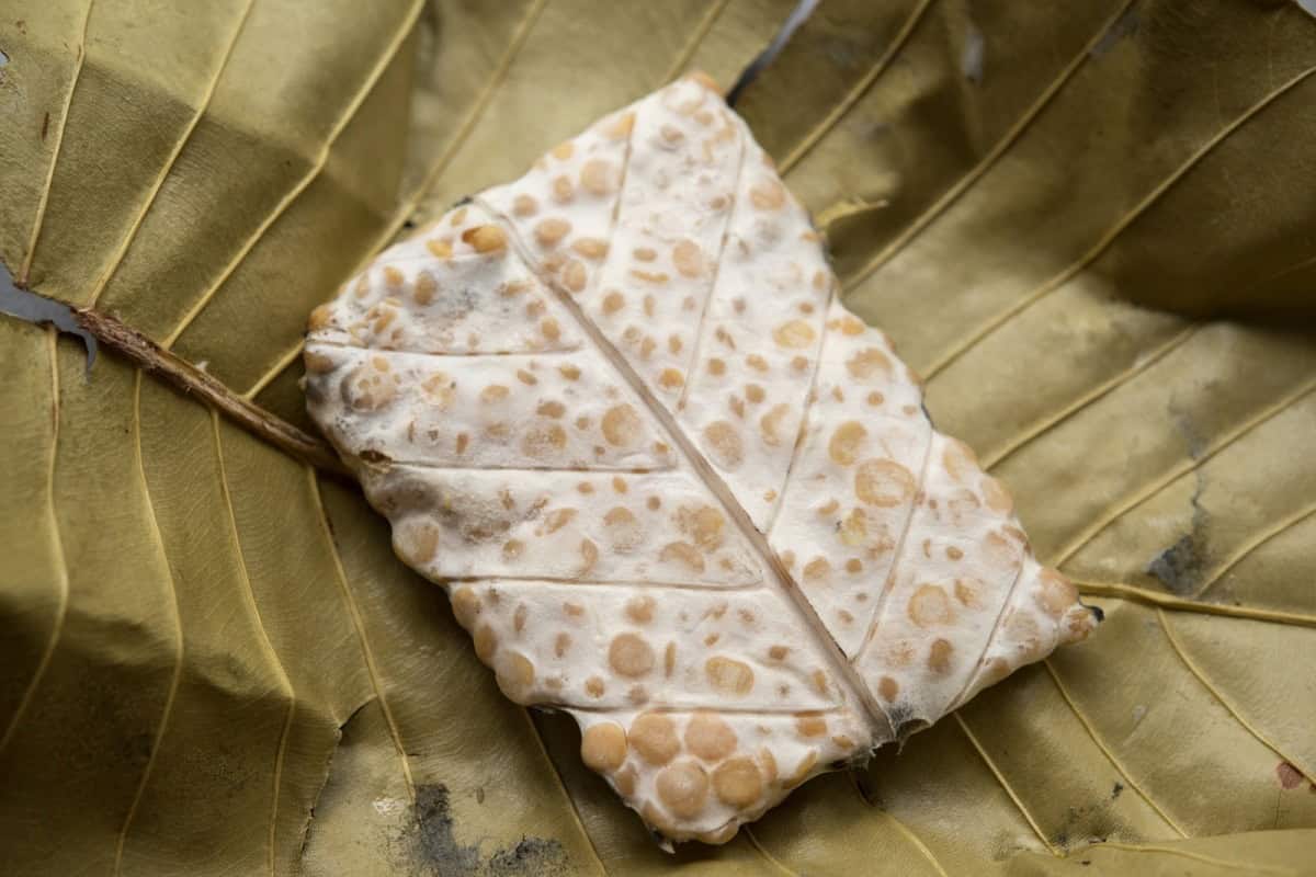 tempeh wrapped in leaf close up