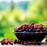 red and black currant