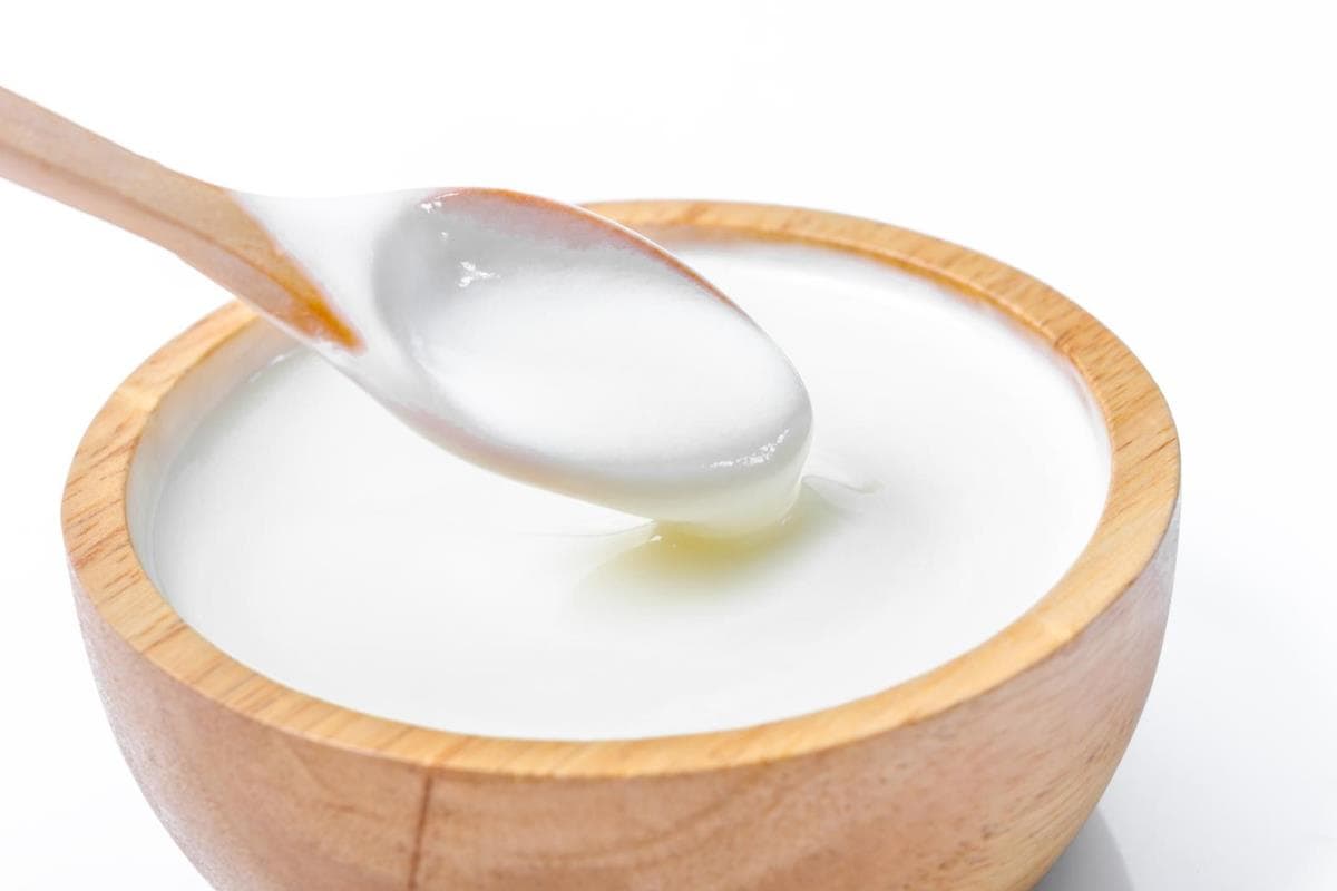 greek yogurt