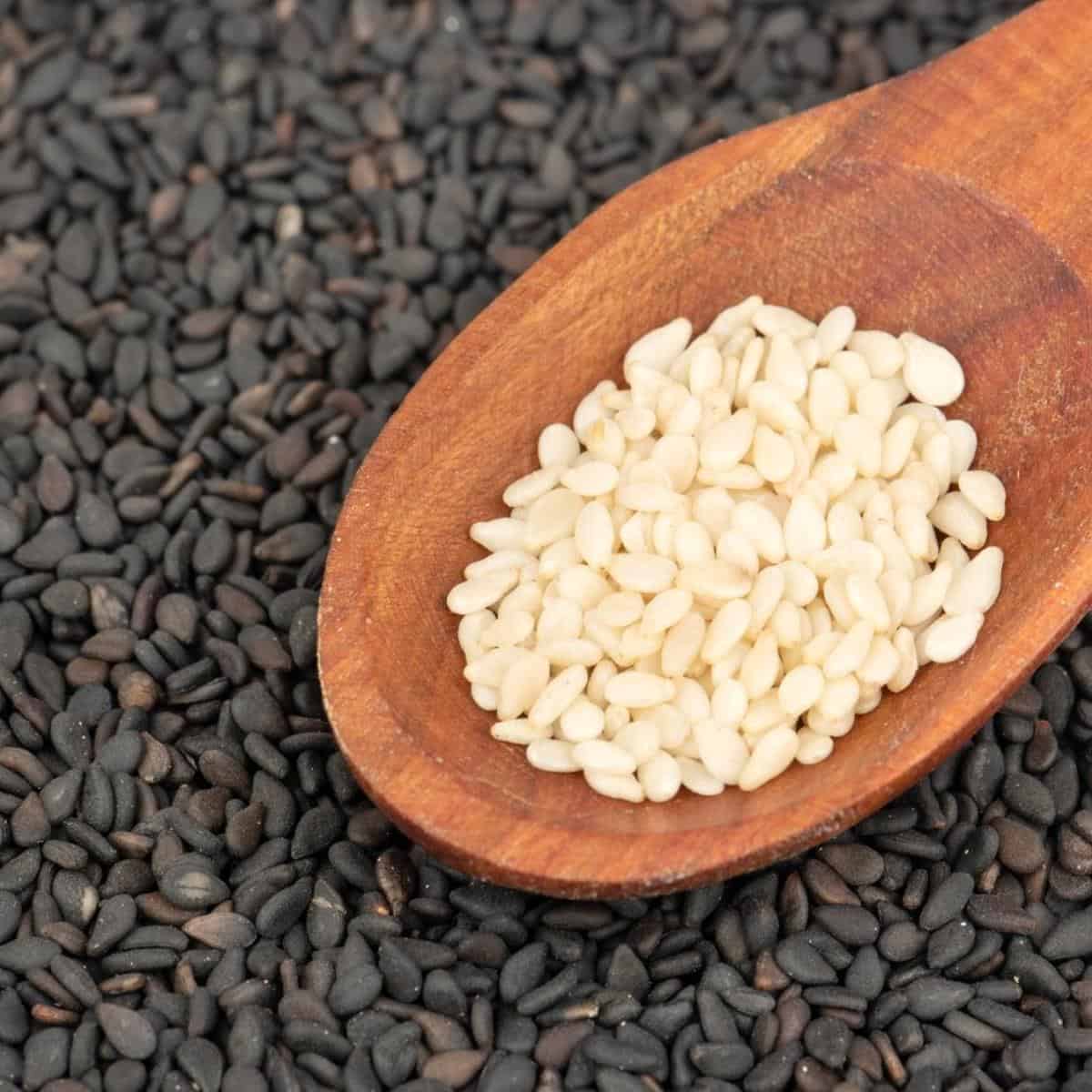 sesame seeds
