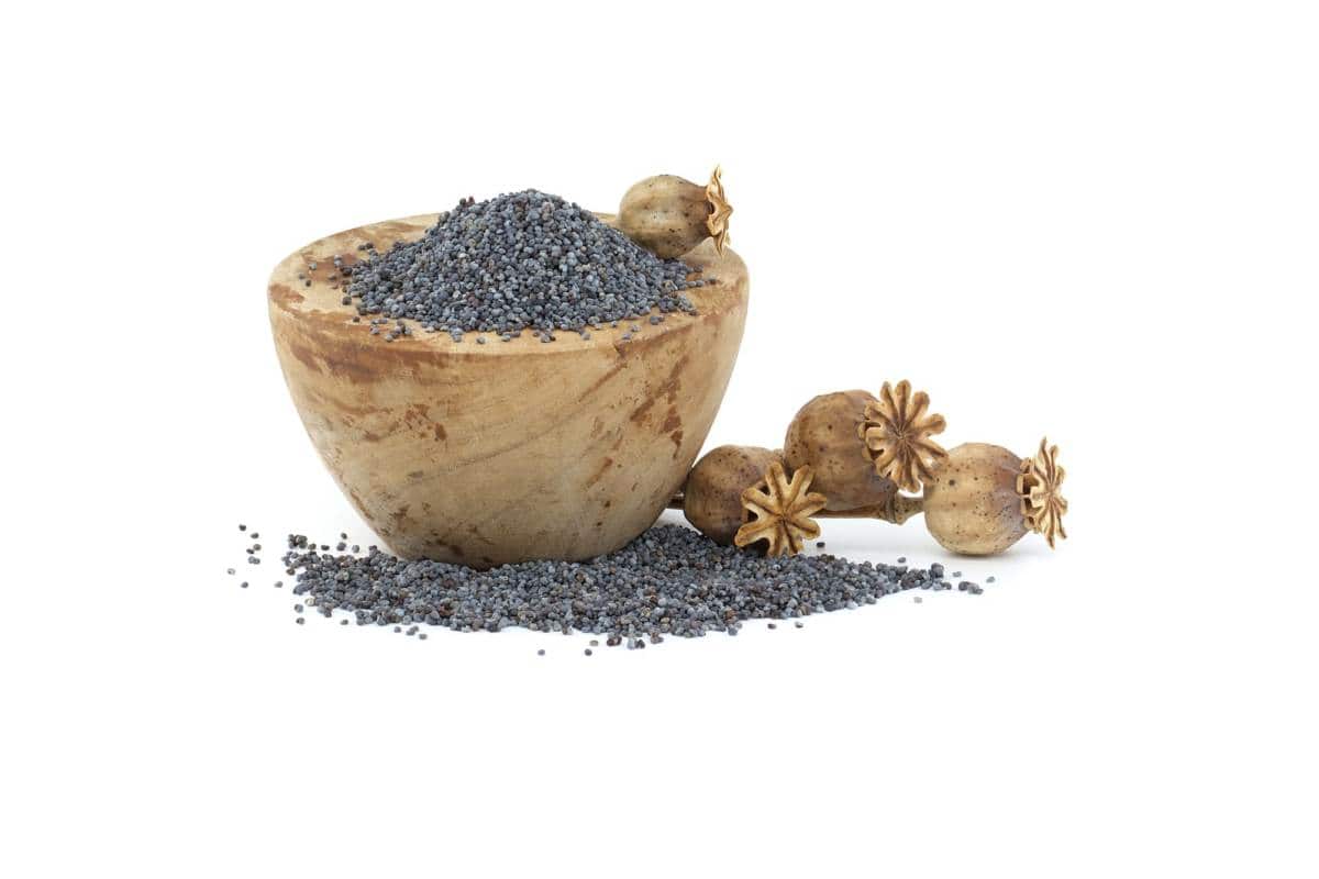 poppy seeds