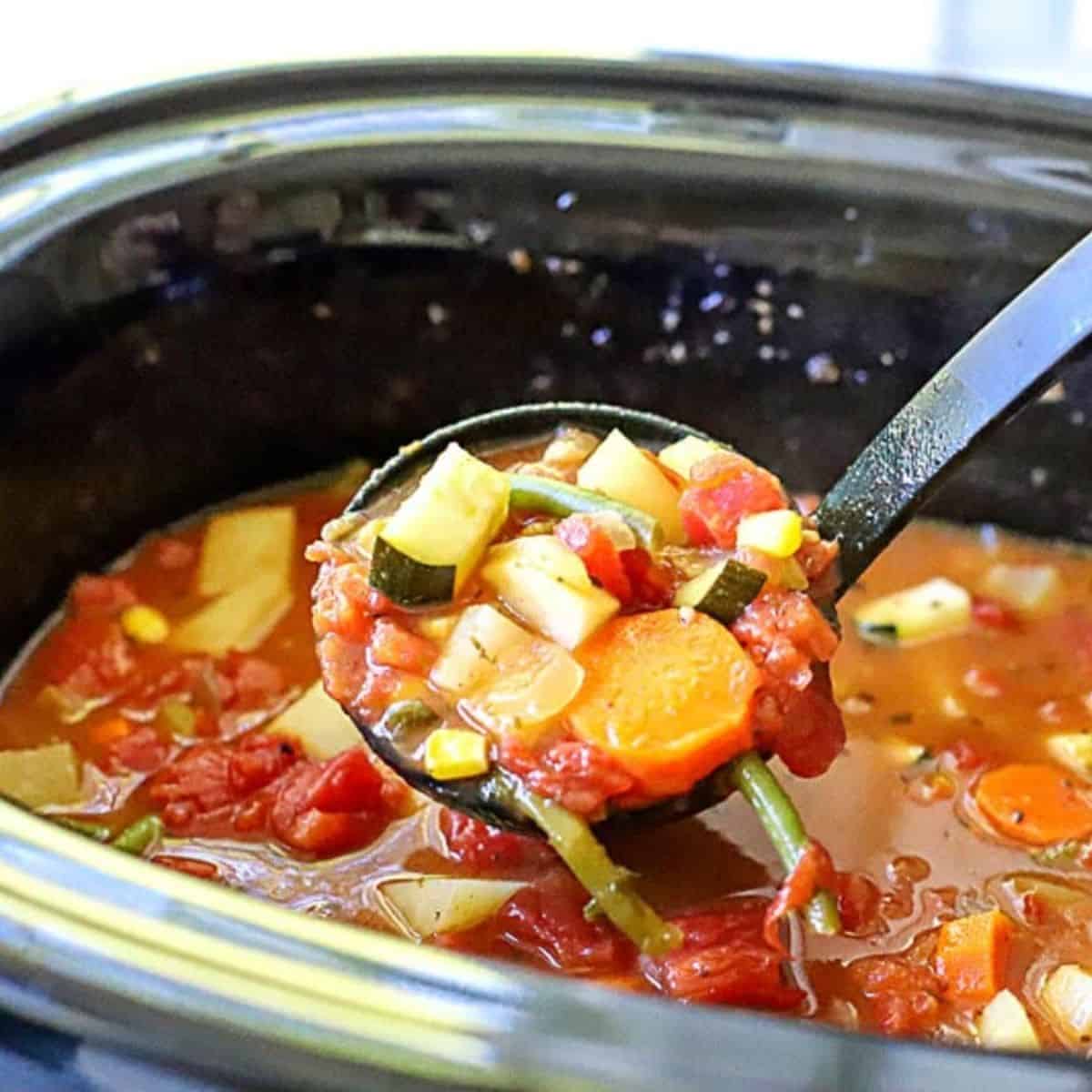 saucy vegetable soup