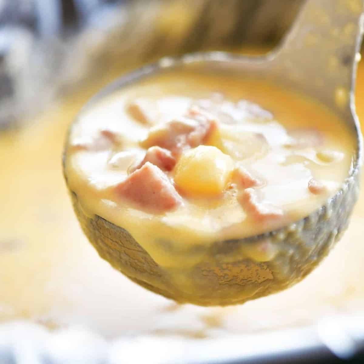 The perfect delight with a slow cooker ham and cheese soup.