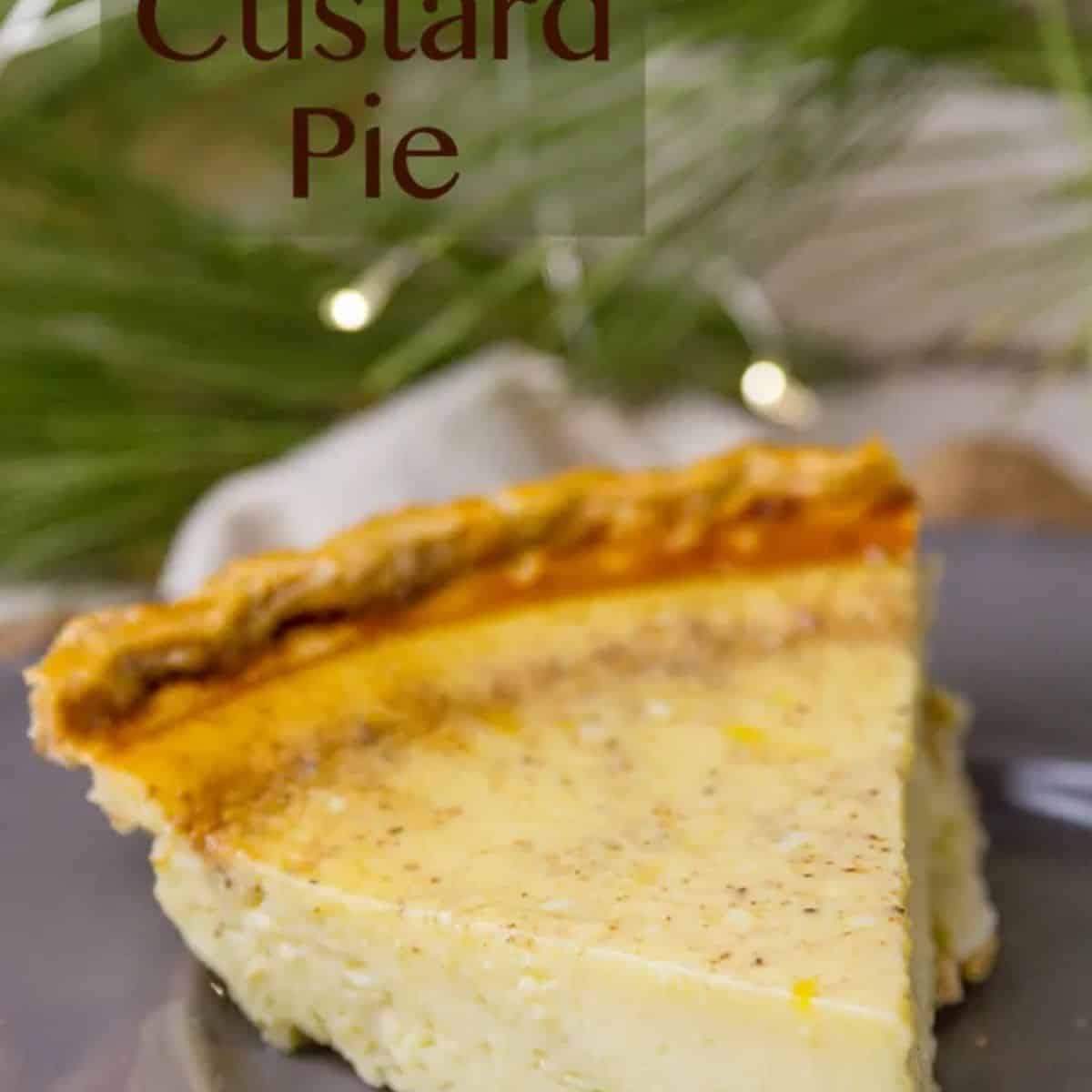 A scrumptious delight featuring eggnog custard pie. 