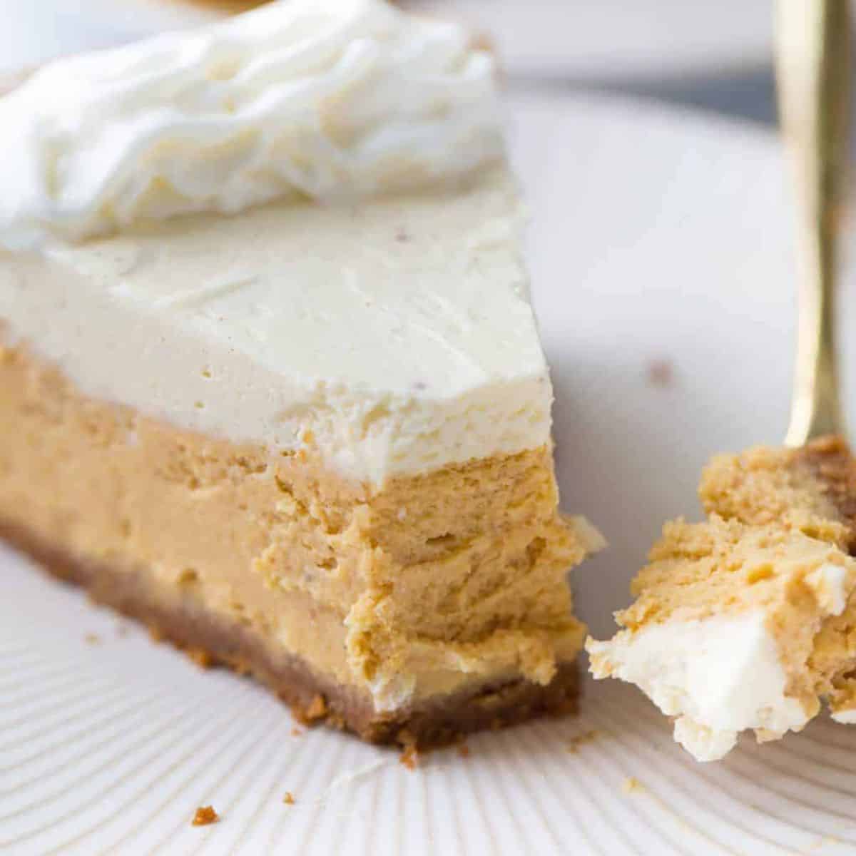 A yummy treat with a pumpkin cheesecake.