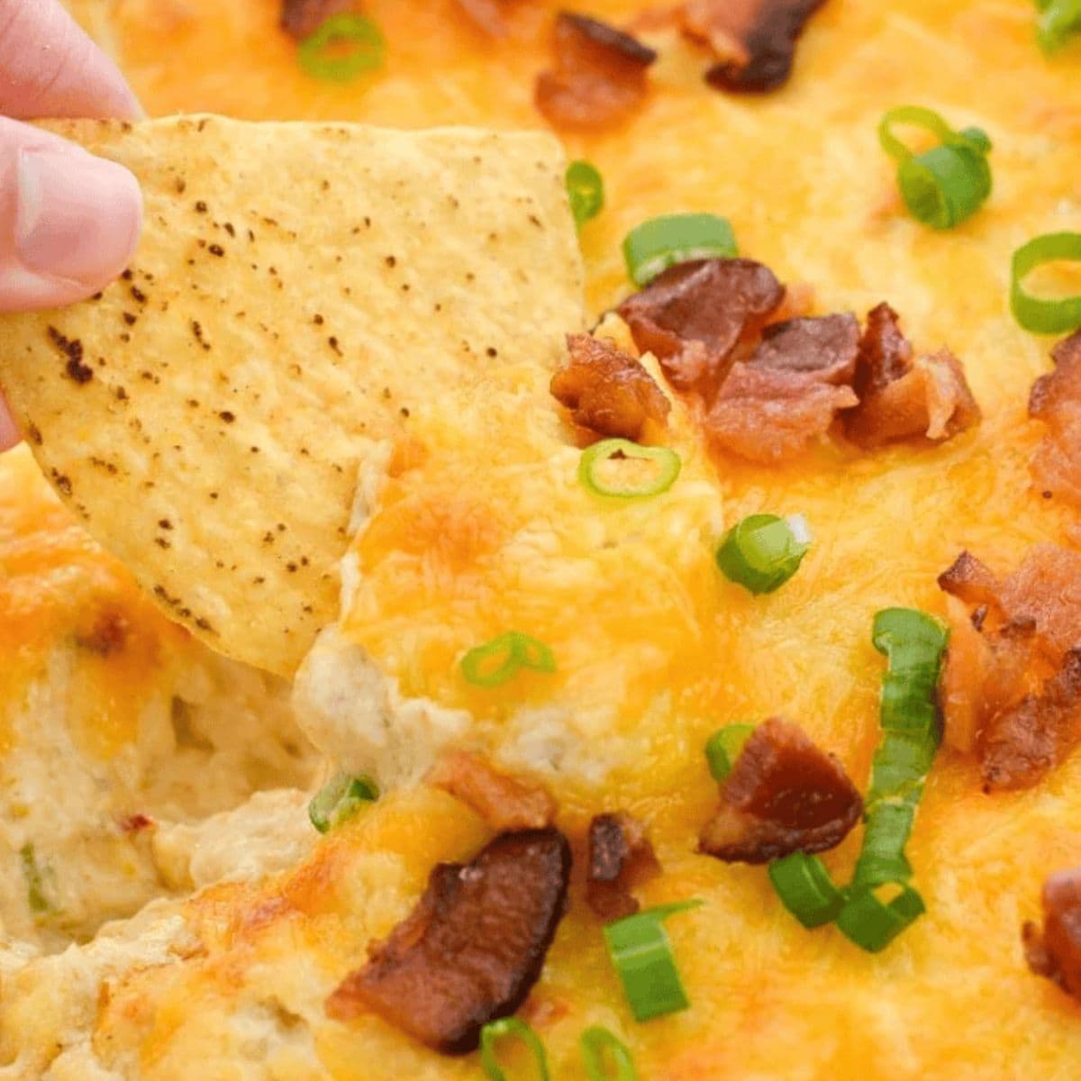 A yummy dinner with hot crab and bacon dip.