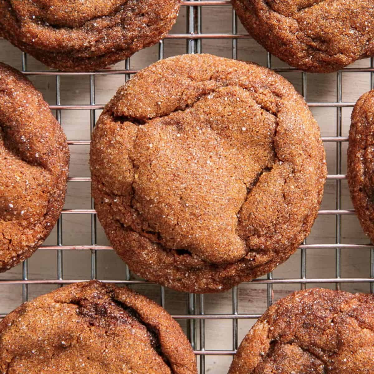A delightful experience with molasses cookies. 