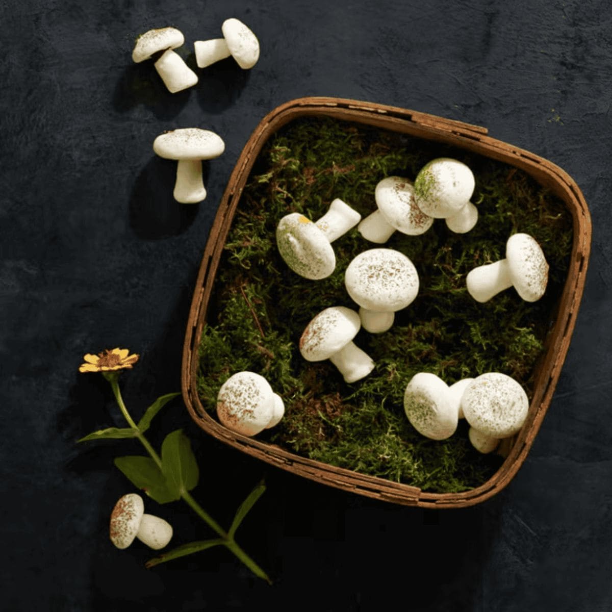 Mini meringues in an artful box made to look like a garden.