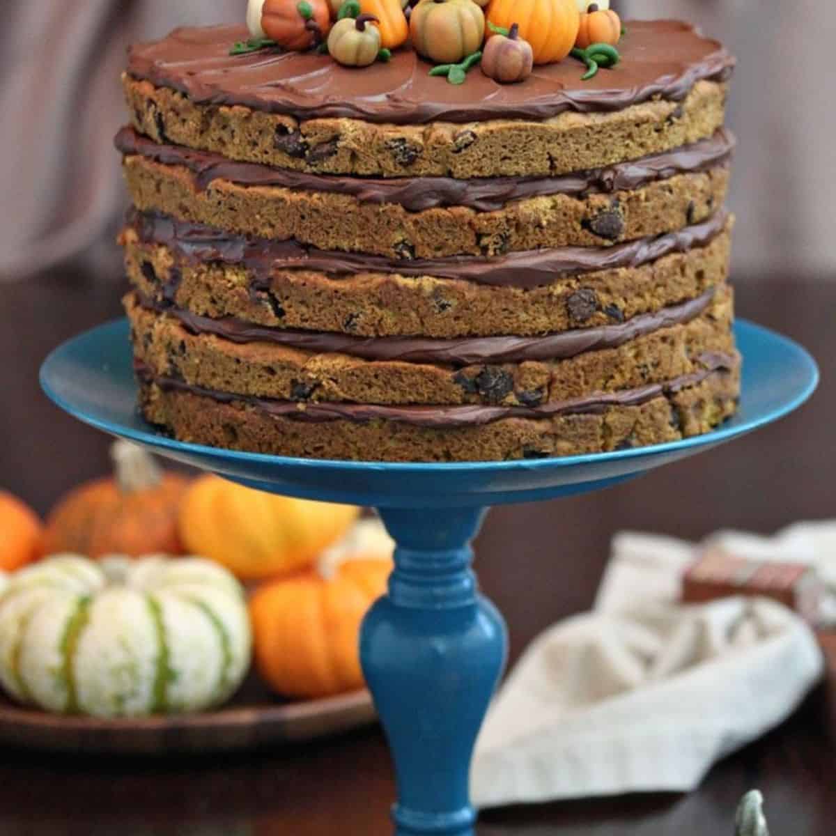 Perfect for chocolate lovers, this pumpkin chocolate chip cake is here to save the day.