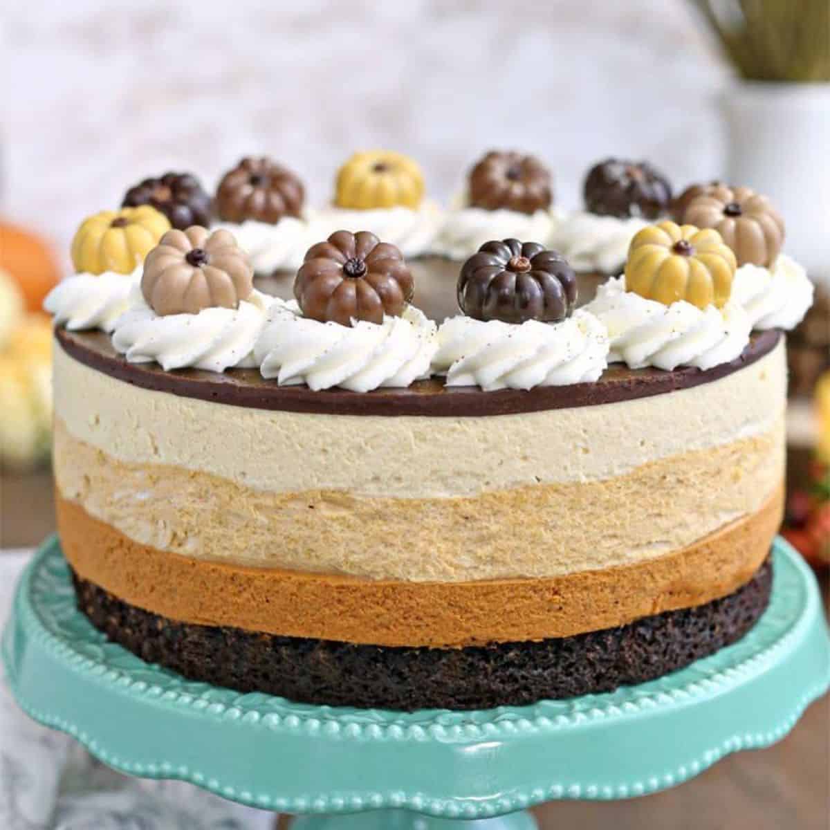 The perfect treat for chocolate lovers featuring a pumpkin chocolate mousse cake