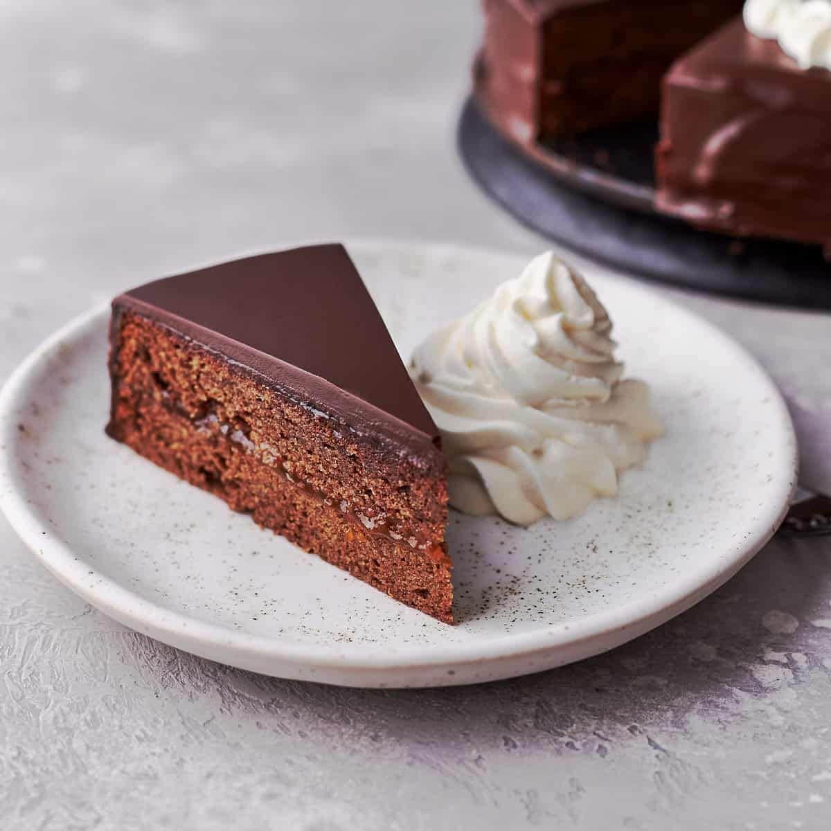 A scrumptious delight with sacher torte.