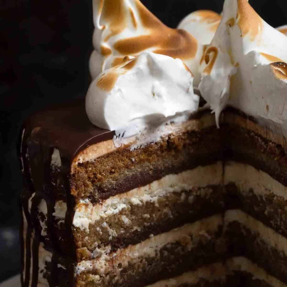 A yummy S'mores cake for you to try this Thanksgiving. 