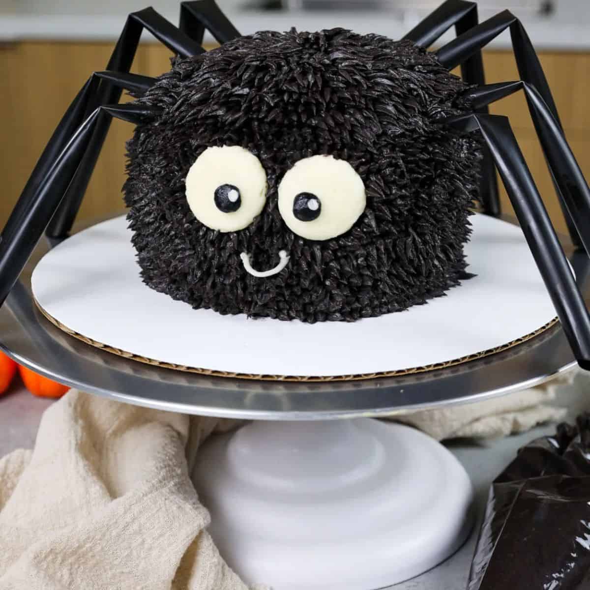 A yummy treat with a cute spider cake.