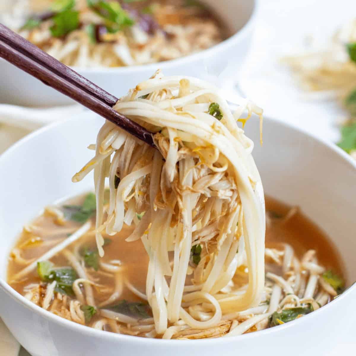 A savory meal with crockpot chicken pho. 