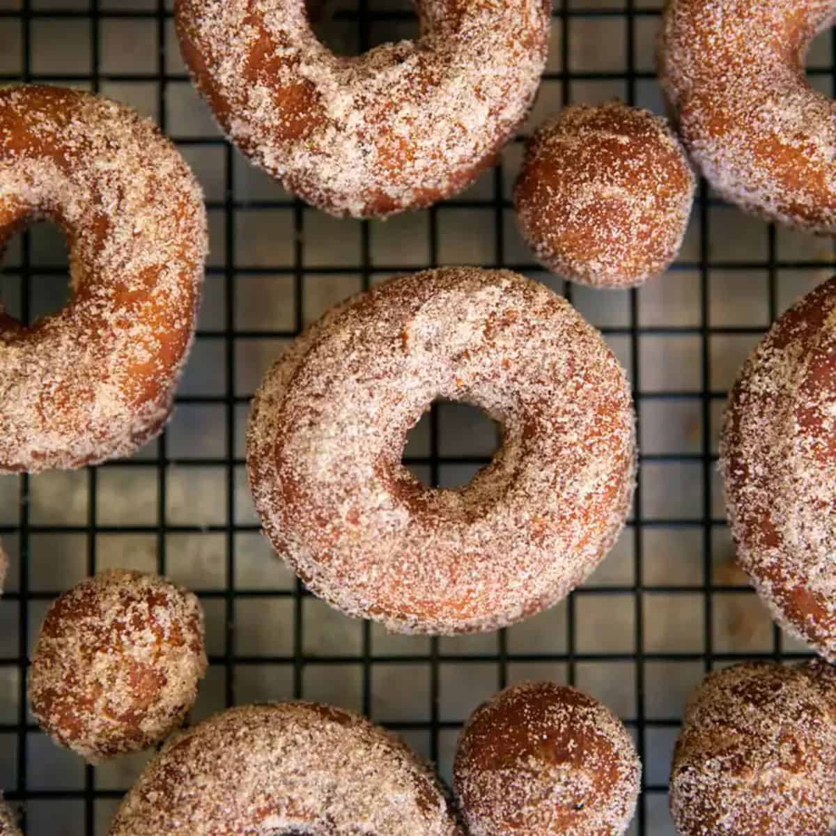 A yummy delight with cinnamon-spiced apple cidder donuts.