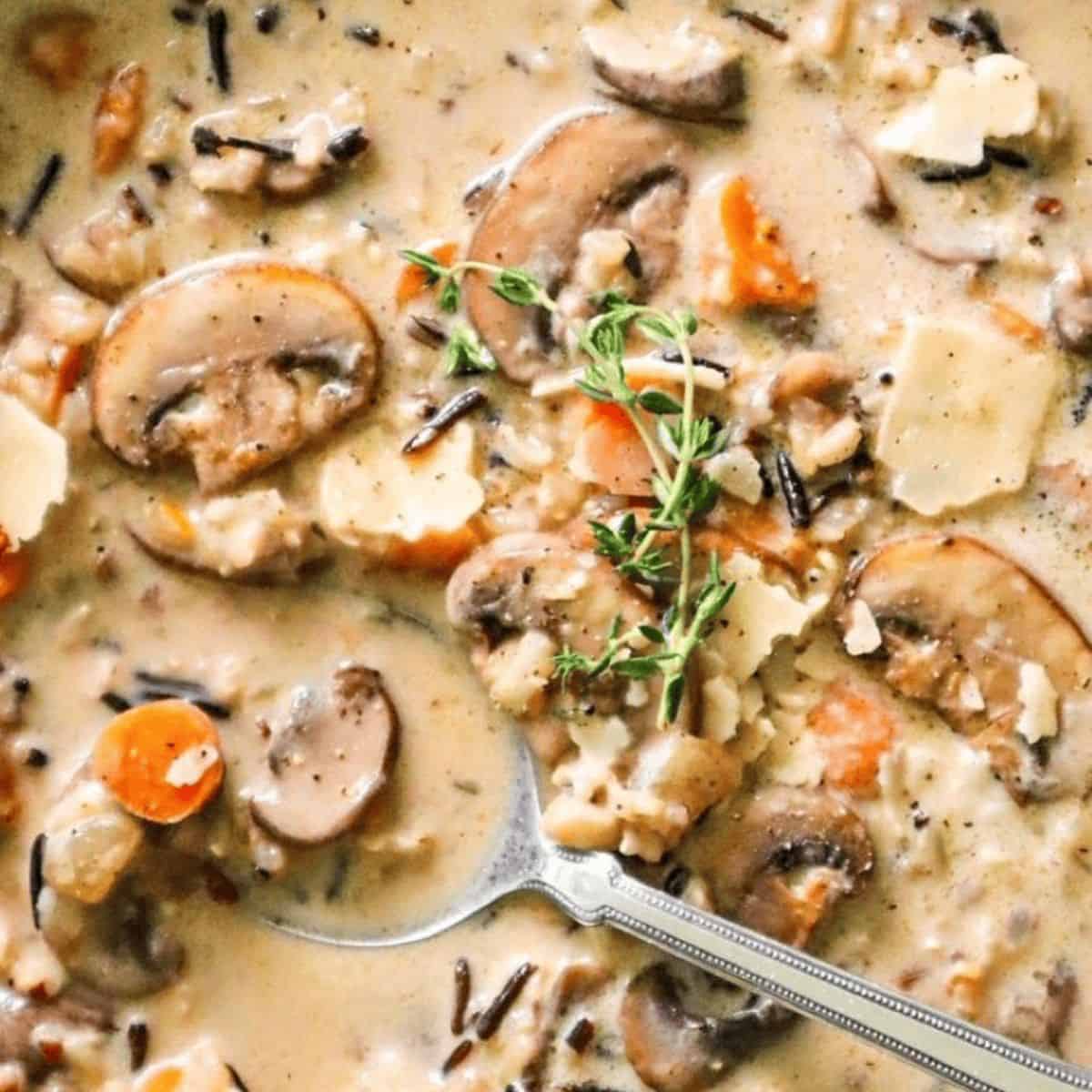 A yummy treat with creamy parmesan mushroom and wild rice soup.
