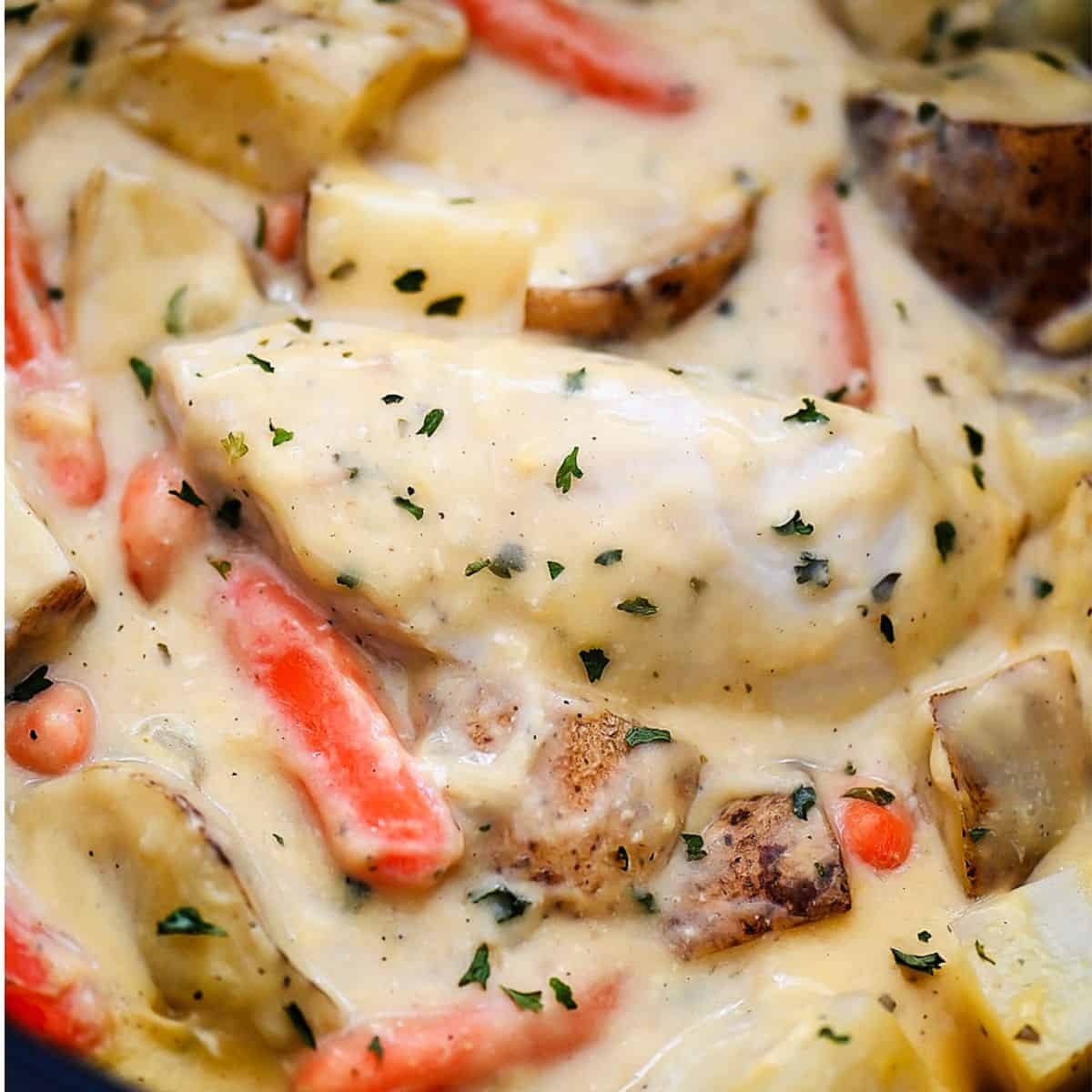 A savory meal with creamy crockpot ranch chicken. 