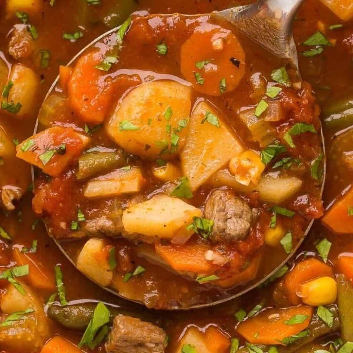 A delicious soup with crockpot vegetable beef soup. 