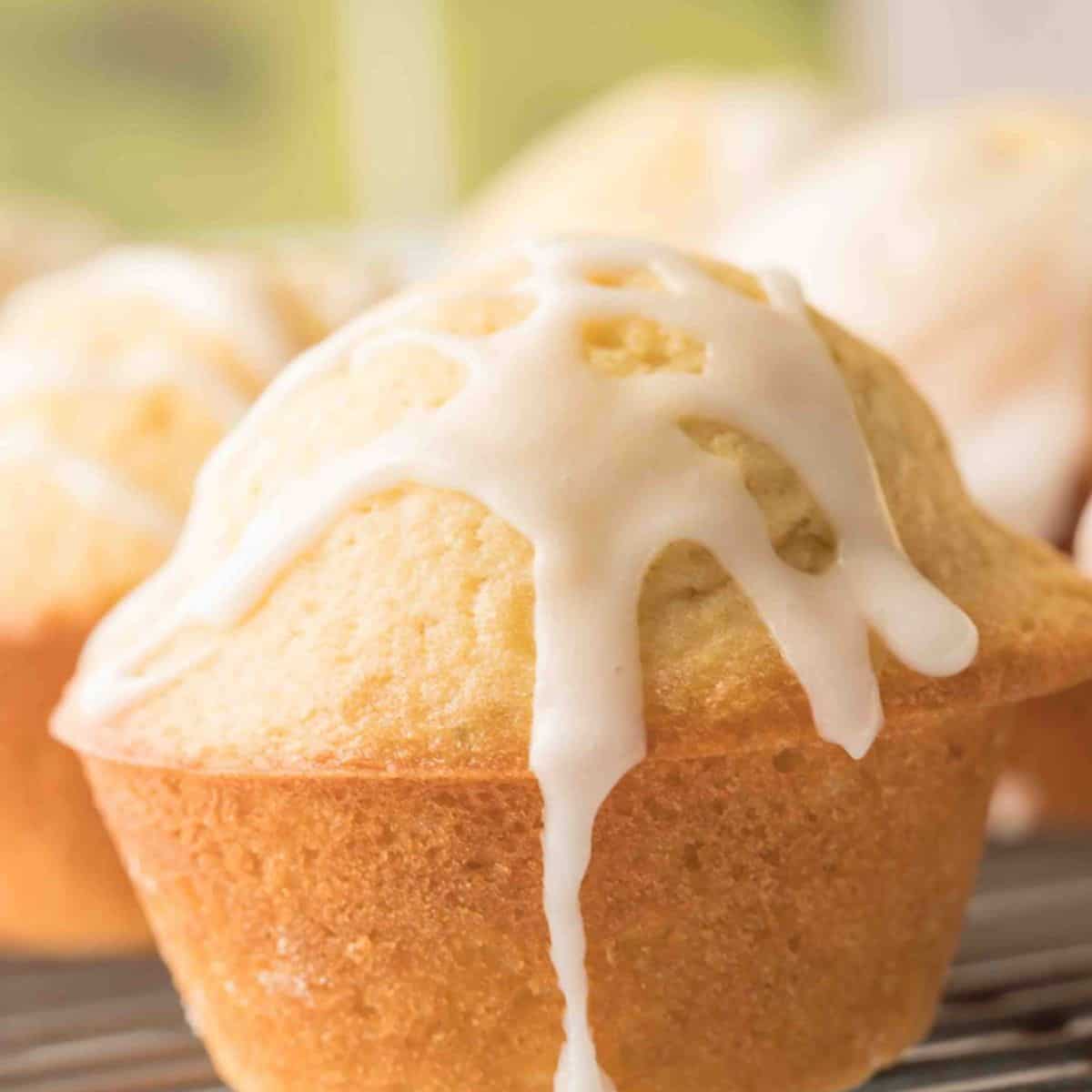 A yummy delight featuring sourdough lemon muffins.