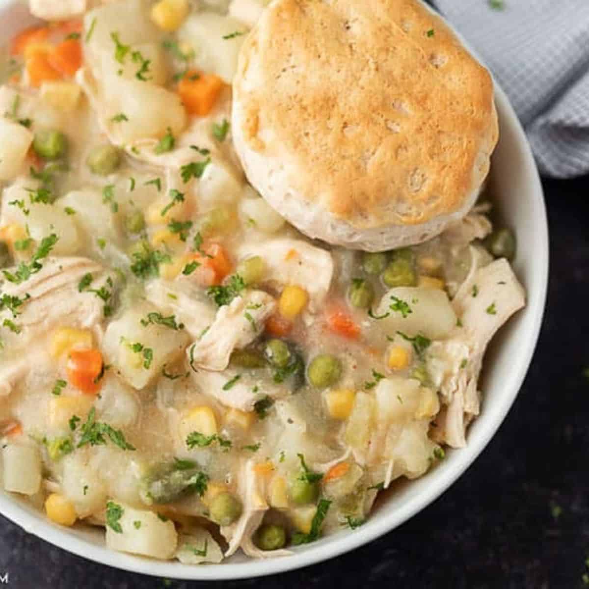 A scrumptious treat with chicken pot pie.  