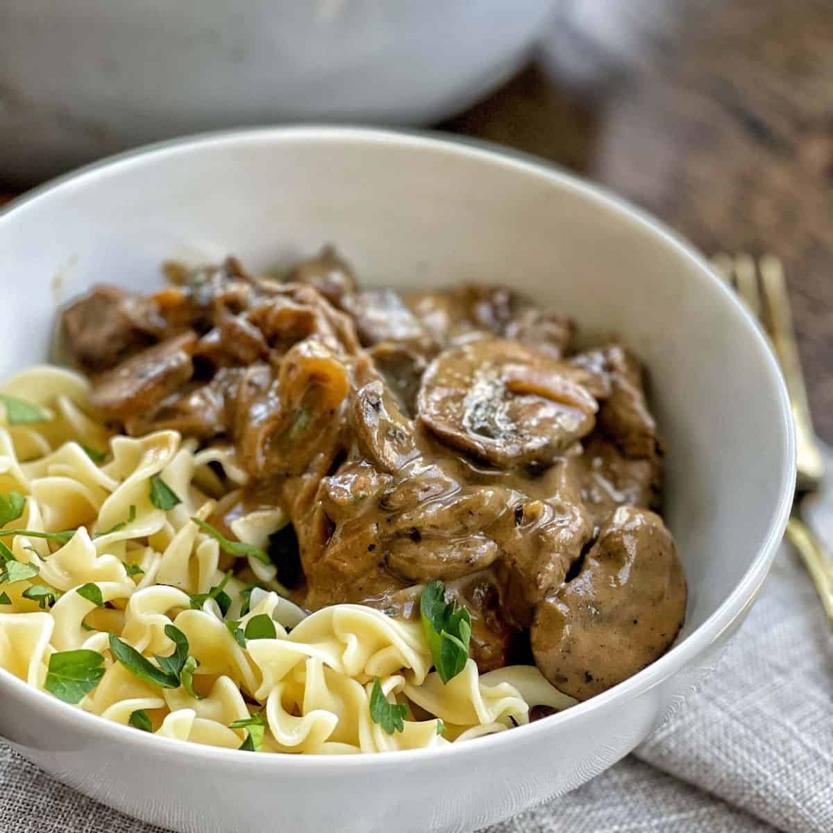 A yummy meal with beef stroganoff in a white bowl. 