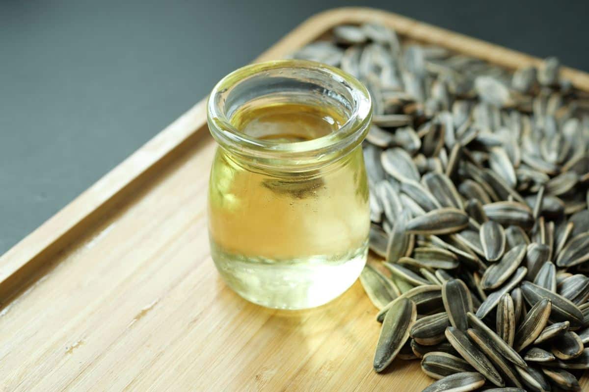 sunflower oil seed and oil
