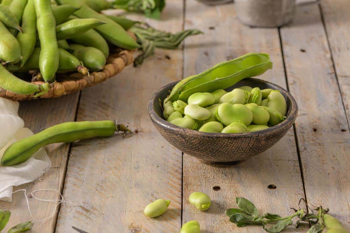fava beans
