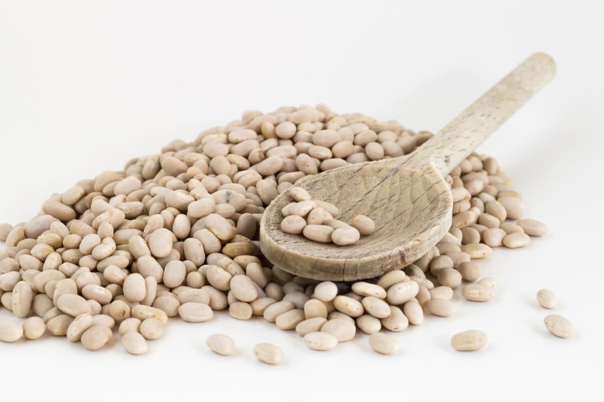 navy beans