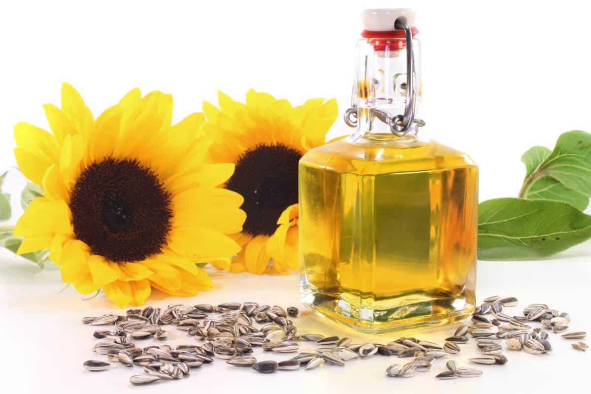 sunflower oil
