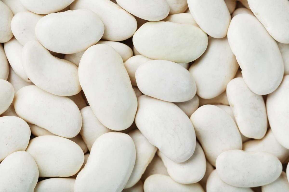 great northern beans