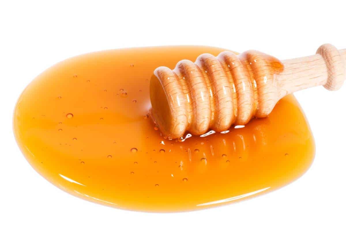 honey spoon in honey