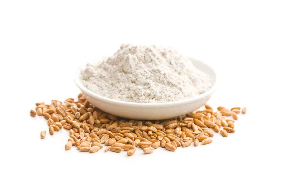 whole grain wheat flour