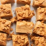 biscoff fudge