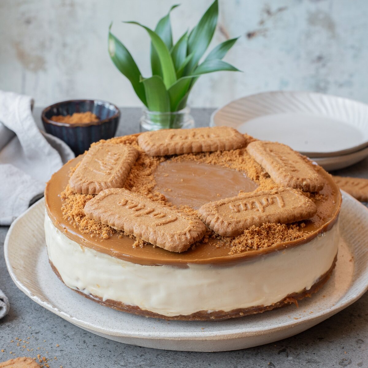 no bake biscoff cheesecake